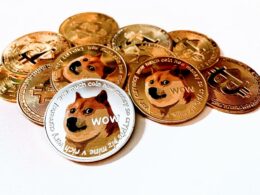 invest in dogecoin