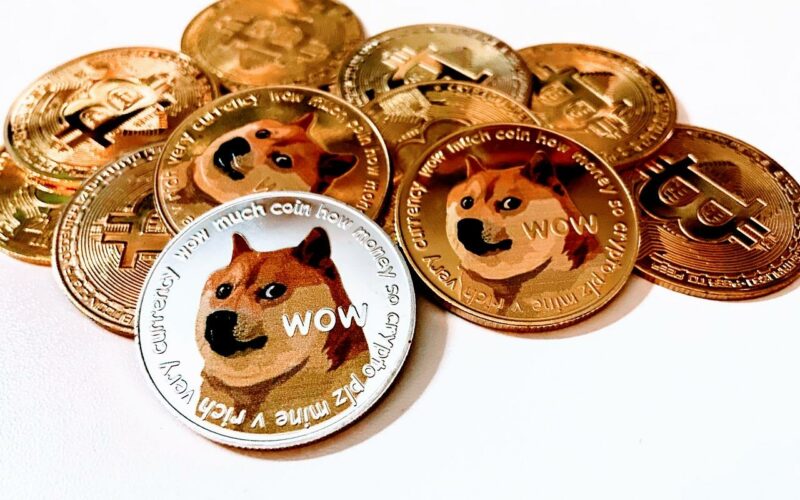 invest in dogecoin